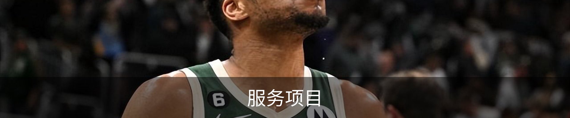 服务项目